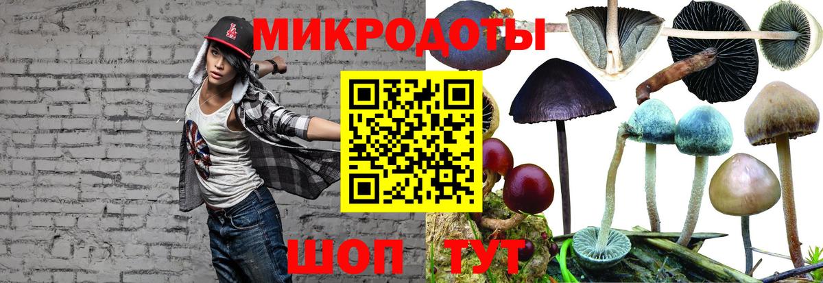 Галлюциногенные грибы Magic Shrooms Среднеуральск